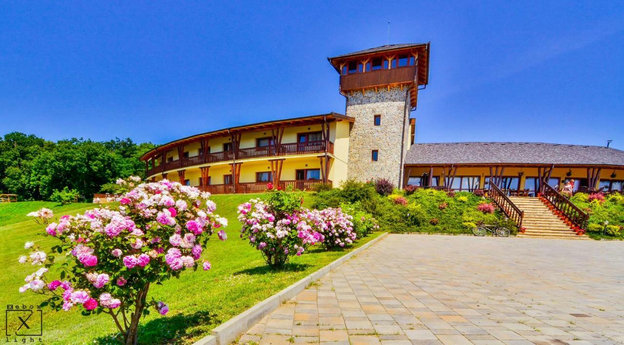 Pensiunea Casa Buna Girbova Экстерьер фото